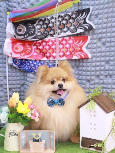 20230505梛都ちゃん